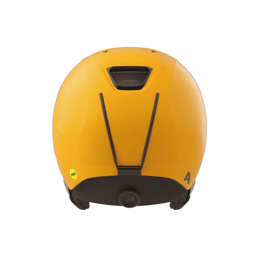 ALPINA（アルピナ） 【25日限定！全品P10倍！】ALPINA スキー