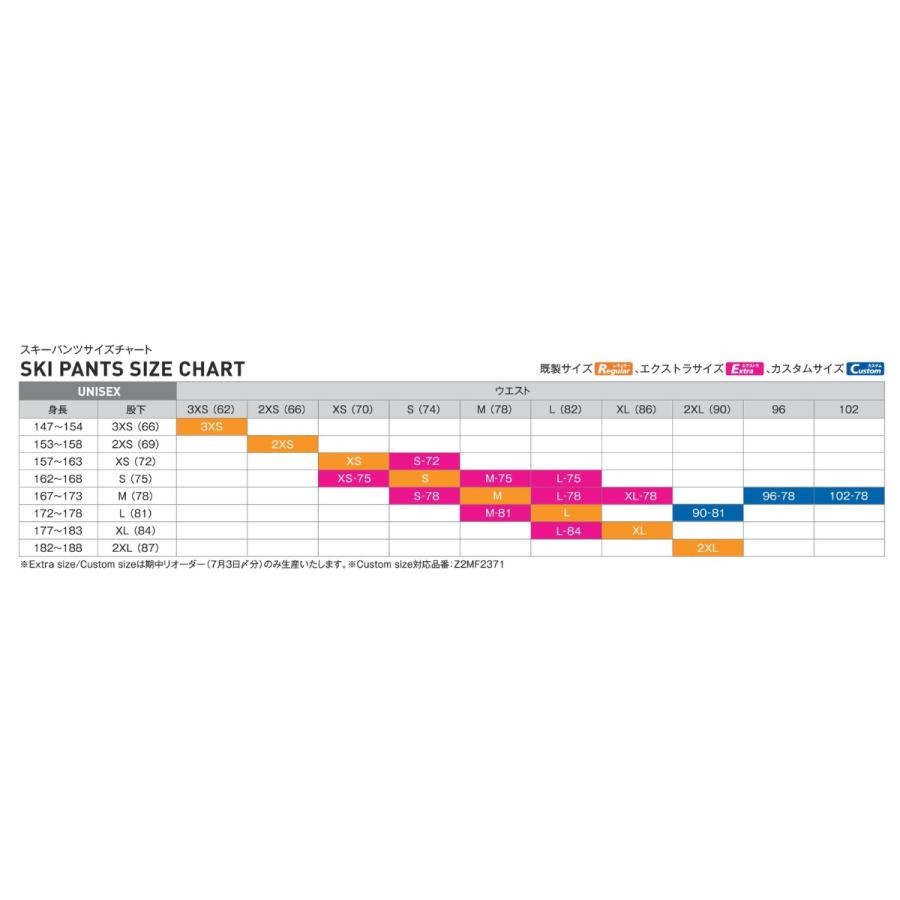 MIZUNO（ミズノ） スキーウェア スキーパンツ パンツ メンズ