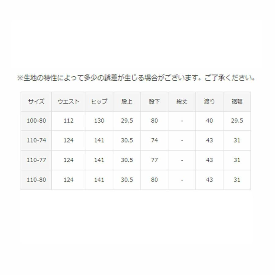 DESCENTE（デサント） スキーウェア スキーパンツ パンツ メンズ