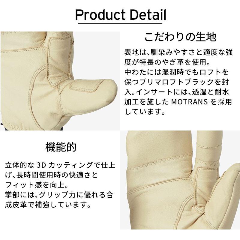 GOLDWIN（ゴールドウイン） スキーグローブ メンズ 2025 Leather 3