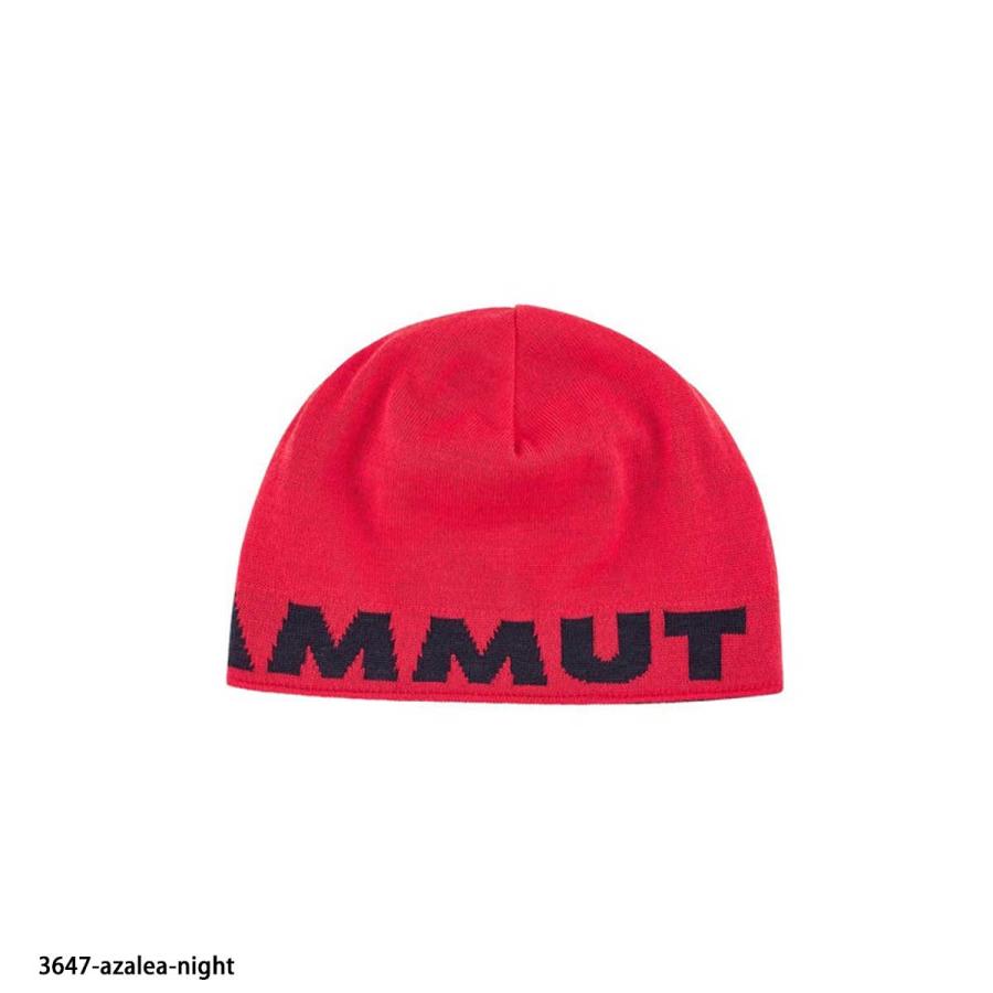 MAMMUT（マムート） 【22日限定！全品P10倍！】MAMMUT スキーニット帽