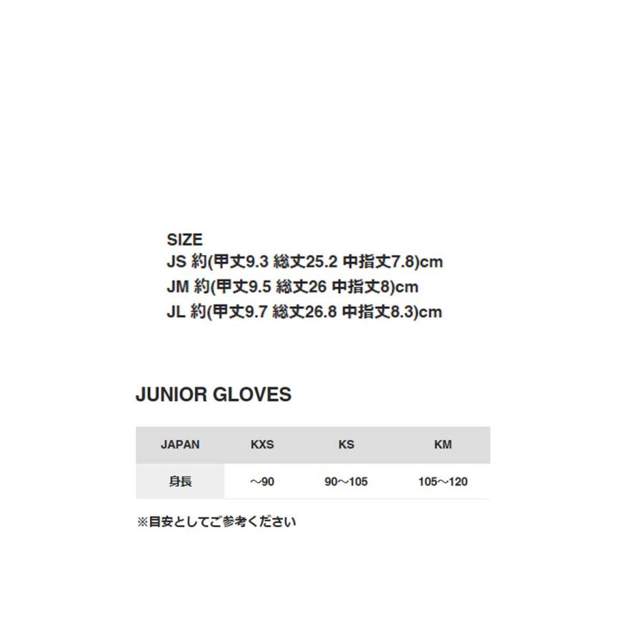 フェニックス（PHENIX） 【エントリーでP最大17倍！19日〜】PHENIX