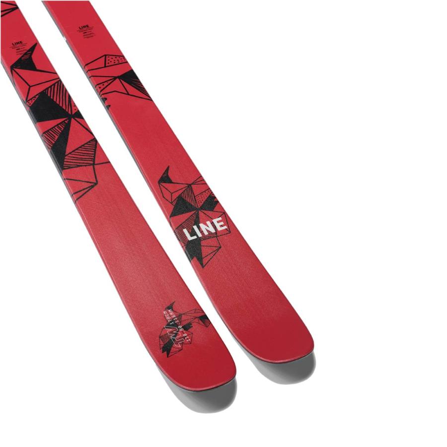LINE（ライン） スキー板 メンズ レディース 2025 TOM WALLISCH PRO
