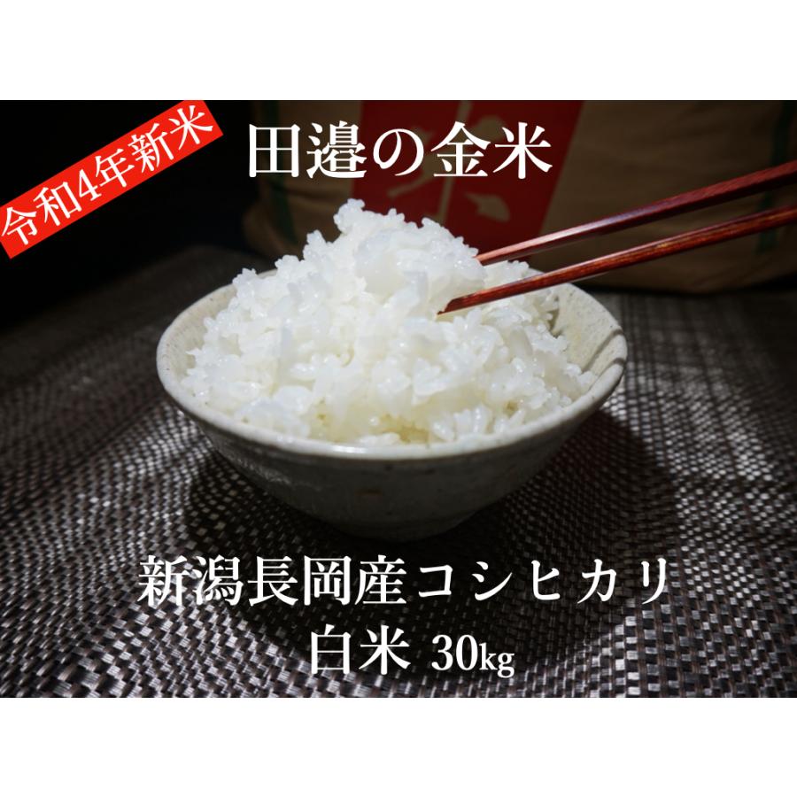令和3年産 田邉の金米 コシヒカリ 30kg 新潟県産 長岡産 白米 新米 送料無料 農家直送 生産者直売 安い Km0002 田邉商店 通販 Yahoo ショッピング