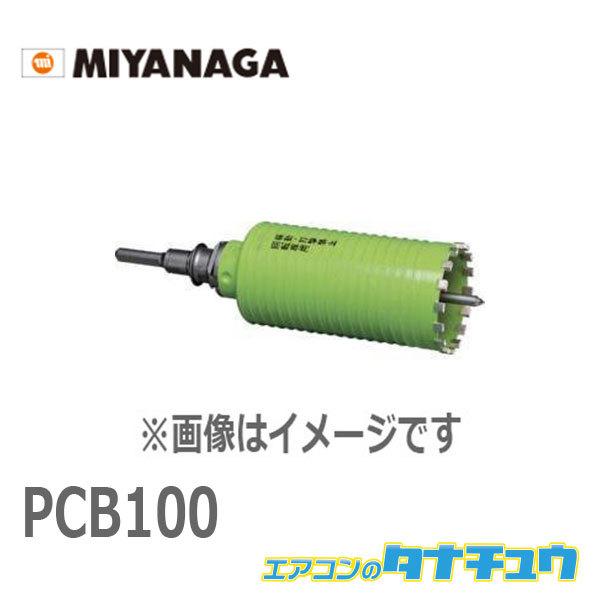 PCB100 ミヤナガ ブロックヨウ ドライモンド/ポリ セット 100 (/PCB100/)
