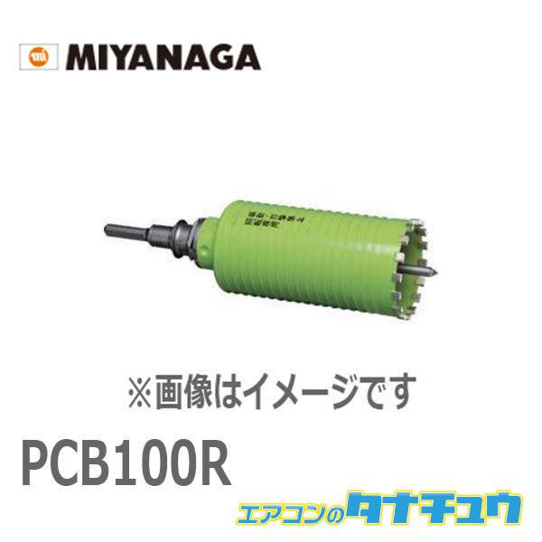 PCB100R ミヤナガ ブロックヨウ ドライモンド/ポリ SDS 100 (/PCB100R/)