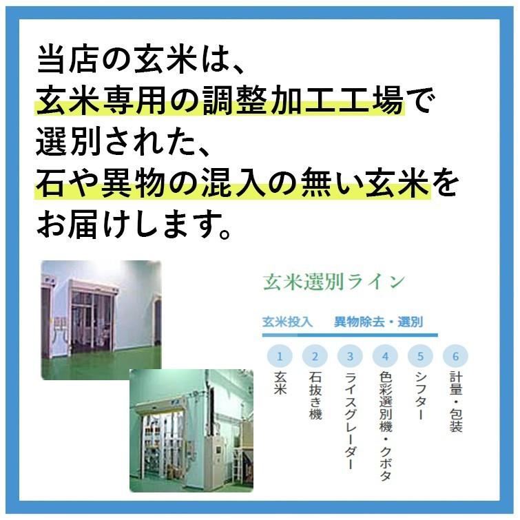 玄米 令和5年産 熊本県あきげしき棚田米 10kg｜tanada-store｜07