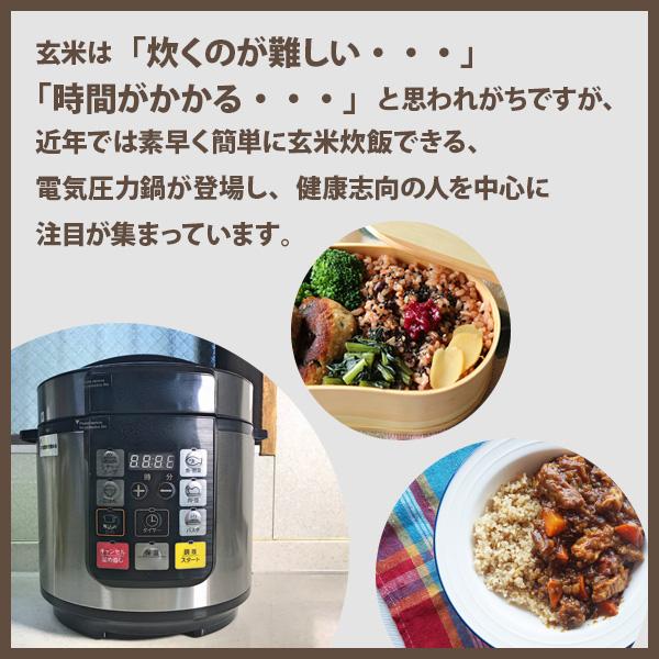 E-2)玄米30kg「あきげしき」令和5年産、阿蘇くまもと、送料込み