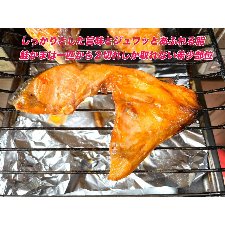 最大47 Offクーポン 博多グルメセット 鮭カマめんたい漬 450g いわし明太子 2尾 送料無料 鮭明太 銀鮭 真空パック 切り身 鮭かま 明太子 福岡 お土産 サーモン お歳暮 焼き魚 Supplystudies Com