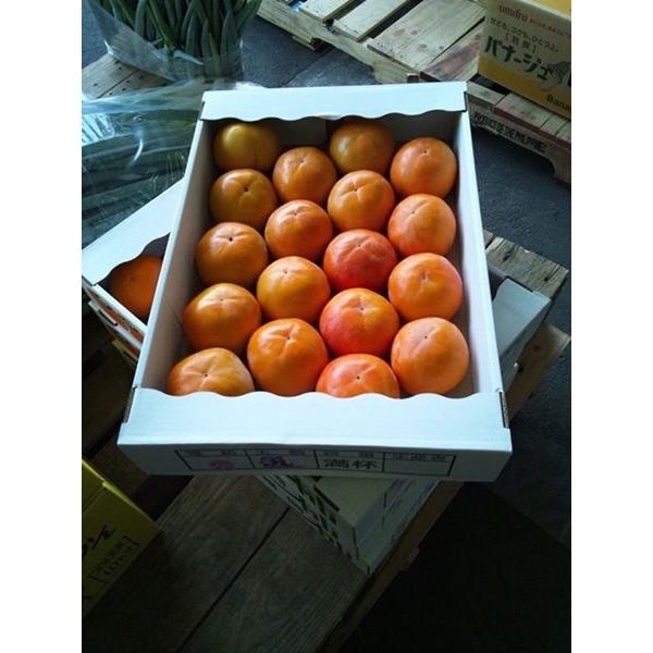 富有柿・早生富有柿 福岡県・九州各県産 1ケース 約2.5kg : Tanaka Sho
