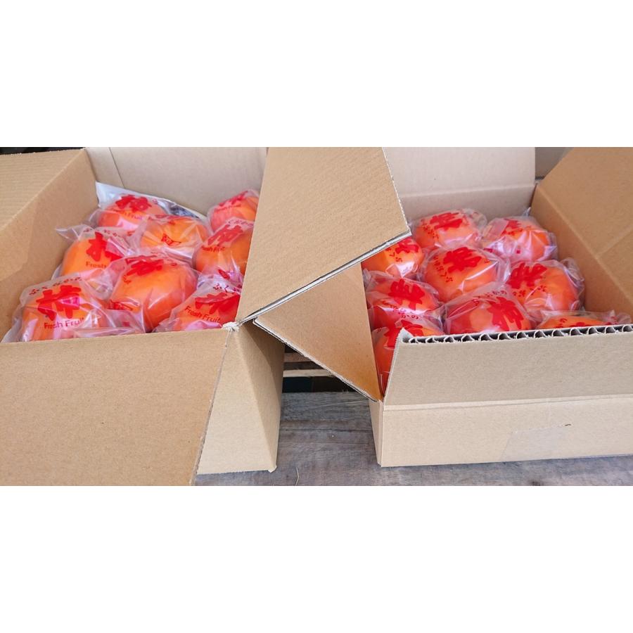 大玉】福岡県産ブランド富有柿9kg 富有柿・早生富有柿 福岡県・九州