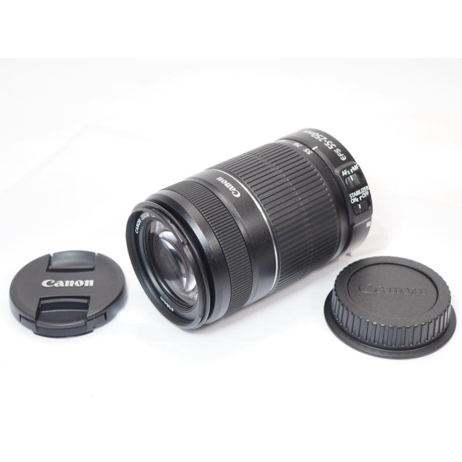 美品 】Canon EF-S 55-250mm F4-5.6 IS II キヤノン [管CN7474