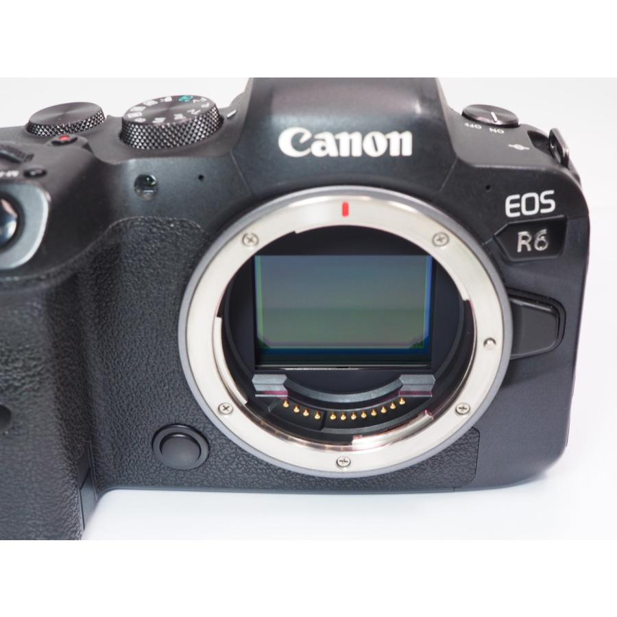 キヤノン（Canon） Canon EOS R6 ボディー ミラーレス [管CN9046 