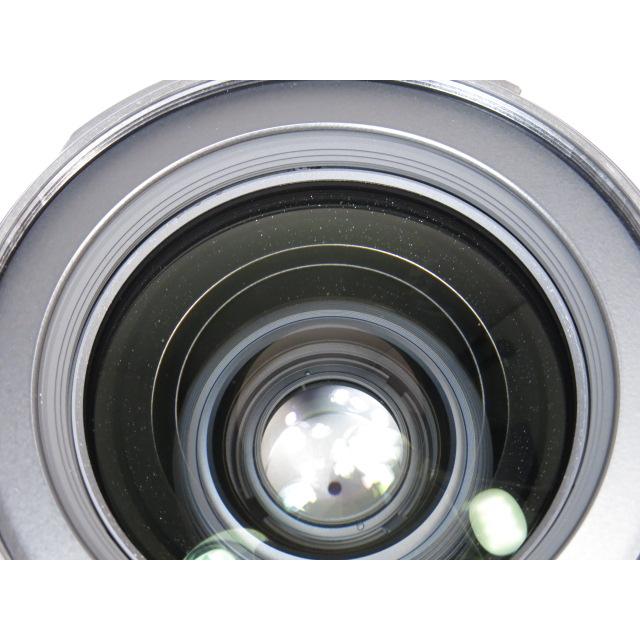 Nikon AF-S DX 17-55mm F2.8G ED ニコン レンズ HB-31純正レンズフード付き [管NI1923]｜tanaridocamera1｜09
