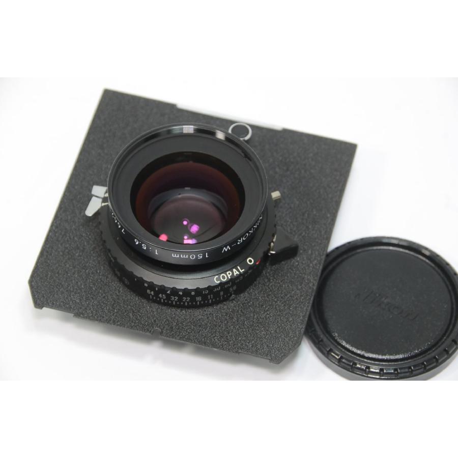 ニッコールW 150mm F5.6 大判レンズ 【公式通販】