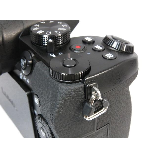 Panasonic 【 極美品 】Panasonic LUMIX DC-G99D ボディー Panasonic 【 極美品 】Panasonic LUMIX DC-G99D ボディー