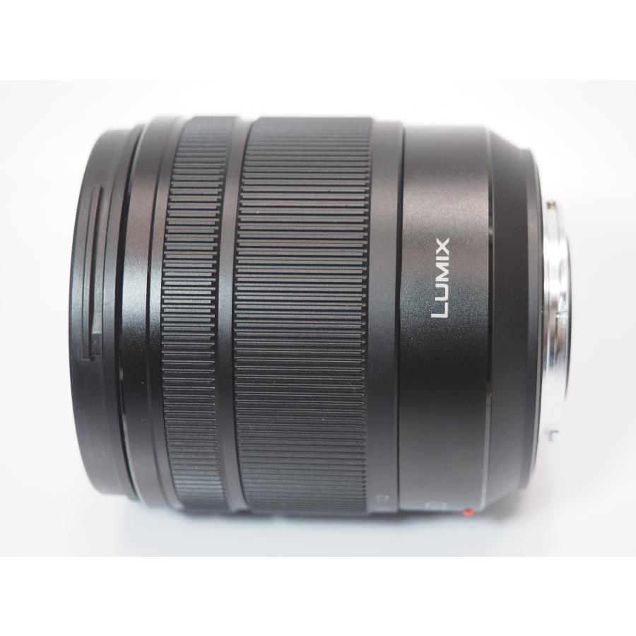 Panasonic G VARIO 12-60mm F3.5-5.6 ASPH POWER O.I.S レンズ H