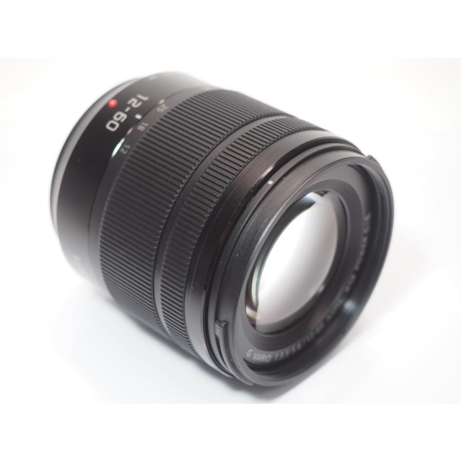 Panasonic G VARIO 12-60mm F3.5-5.6 ASPH POWER O.I.S レンズ H