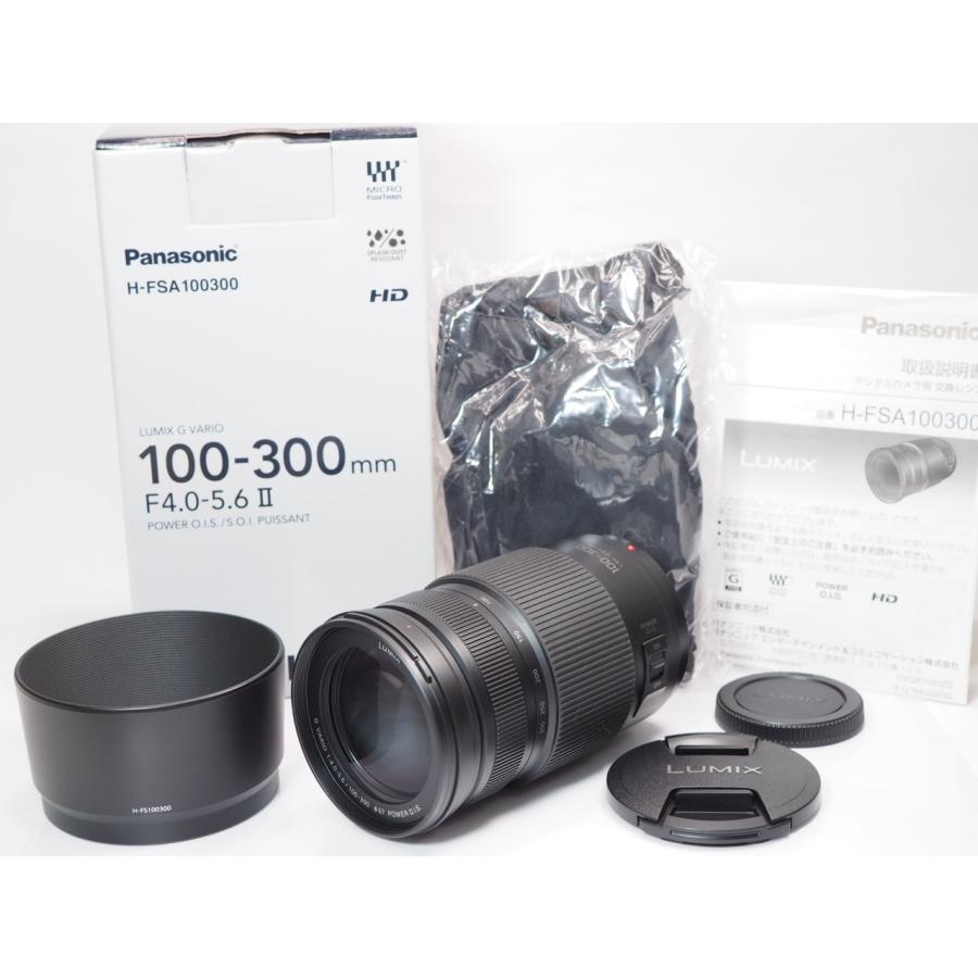 Panasonic（パナソニック） 【 極美品 】Panasonic LUMIX G VARIO 100