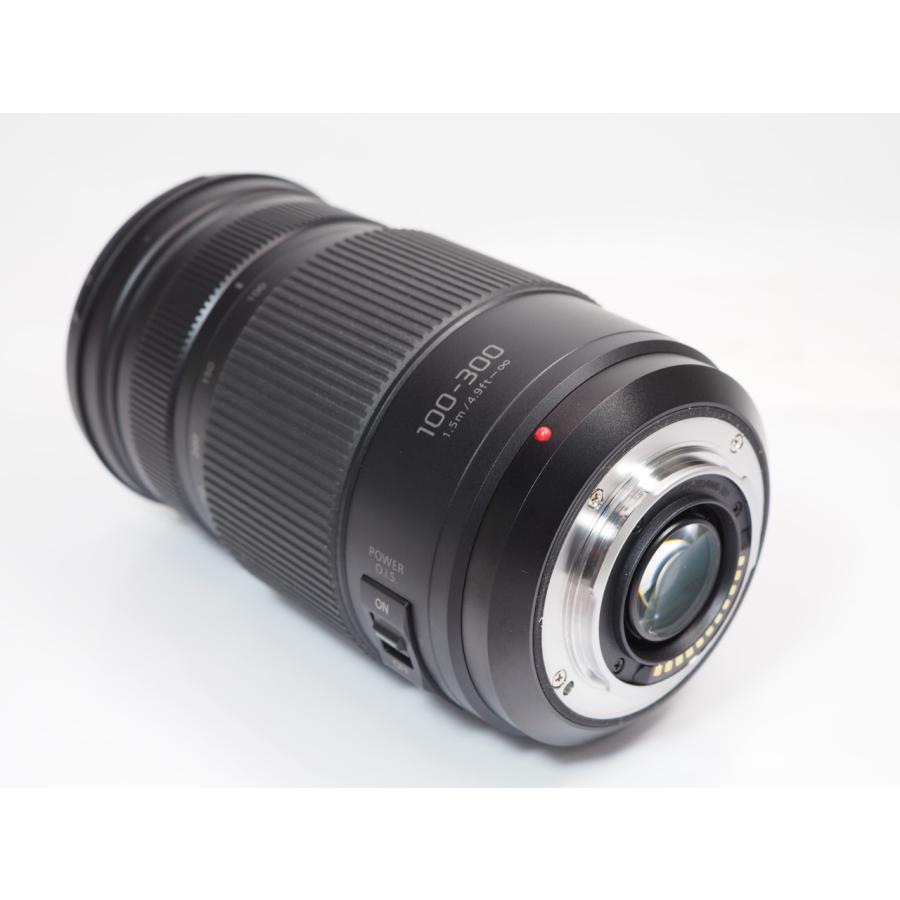 Panasonic（パナソニック） 【 極美品 】Panasonic LUMIX G VARIO 100