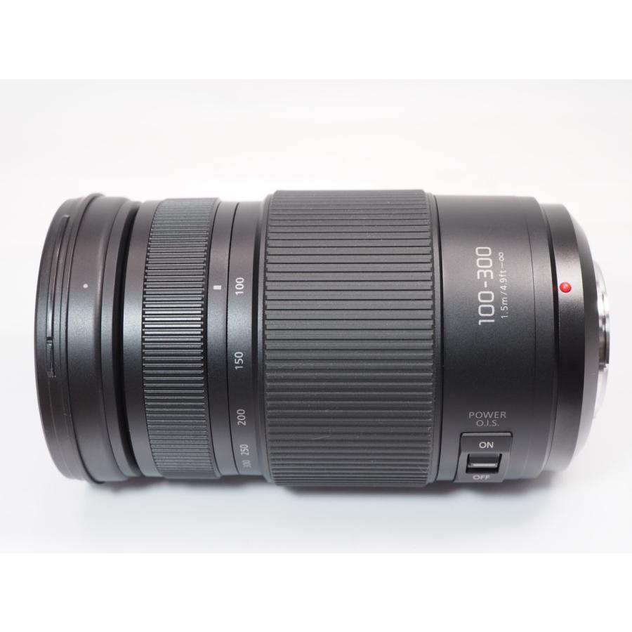 Panasonic（パナソニック） 【 極美品 】Panasonic LUMIX G VARIO 100