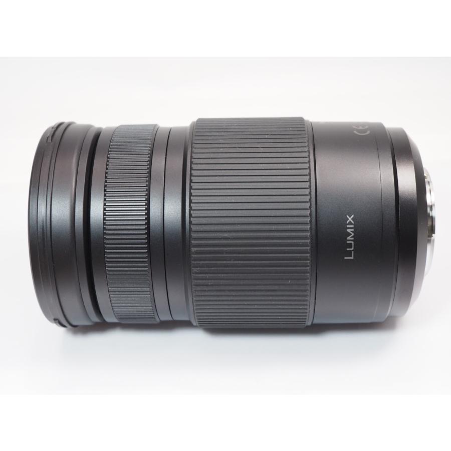 Panasonic（パナソニック） 【 極美品 】Panasonic LUMIX G VARIO 100