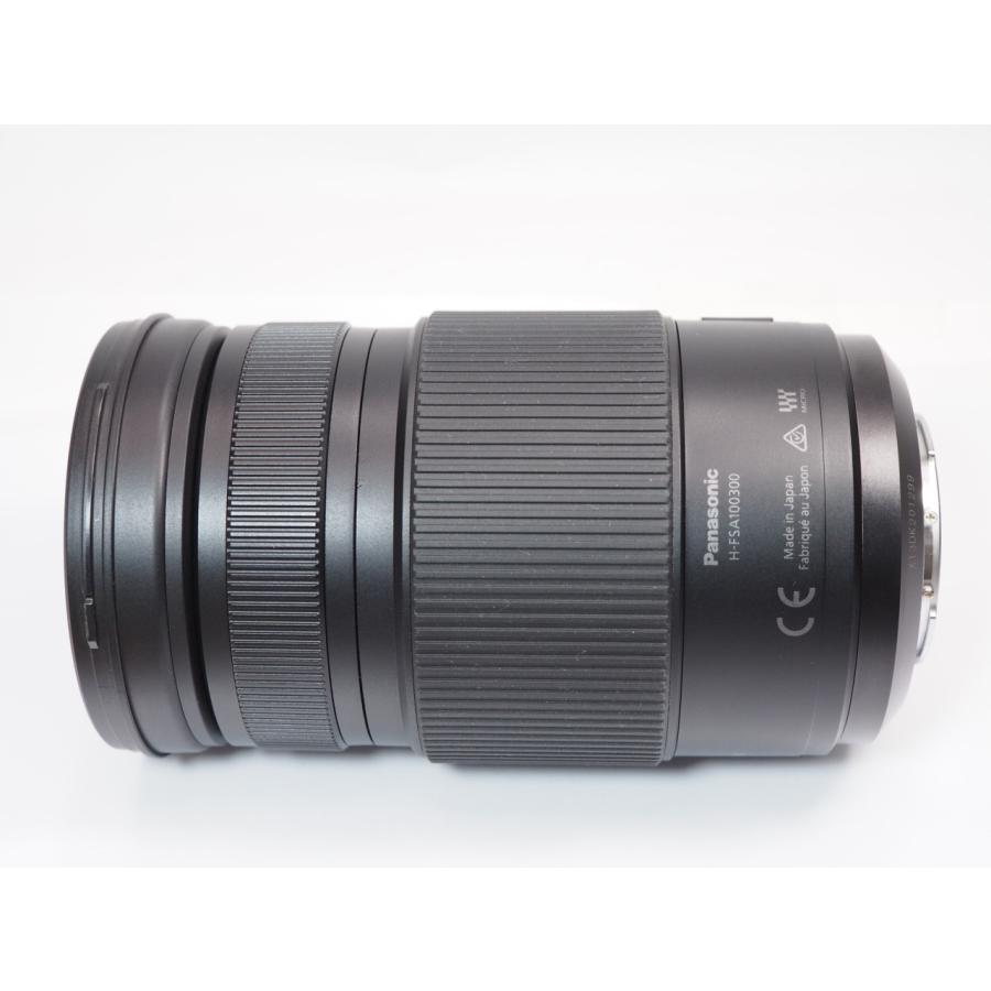 Panasonic（パナソニック） 【 極美品 】Panasonic LUMIX G VARIO 100