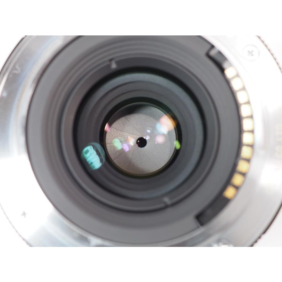 Voigtlander APO-LANTHAR 50mmF2 SONY Eマウント レンズ