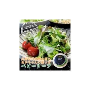 農薬不使用　小さなベビーリーフ　丹里菜Premium-AKARINA-８パックセット｜tanba-akari-farm｜05