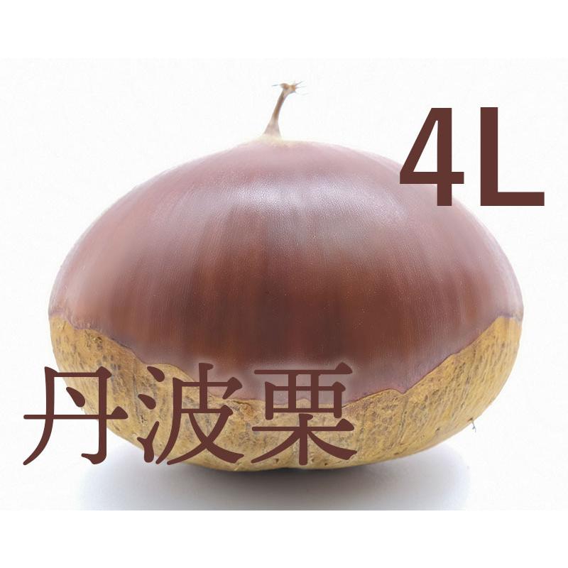 完全無農薬　丹波産　丹波栗　4L以上　1kg 丹波栗 4L 1kg 丹波農園 : 丹波農園 - 通販 - Yahoo!ショッピング