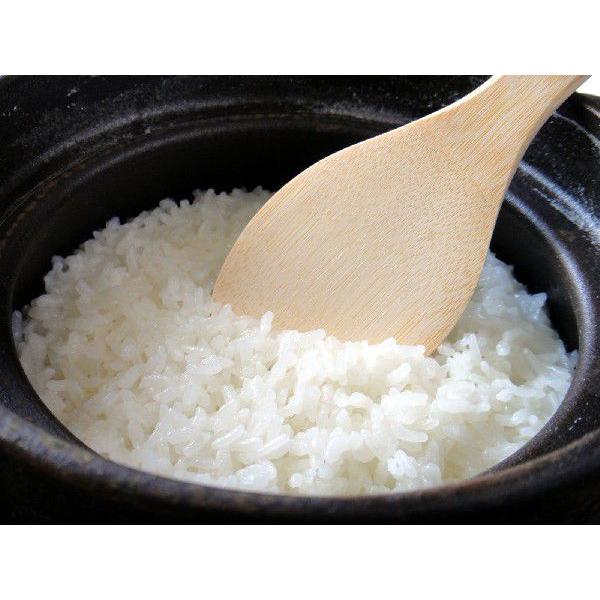 【令和4年産白米】業務用聖米【コシヒカリ100%】単一原料米　24Kg