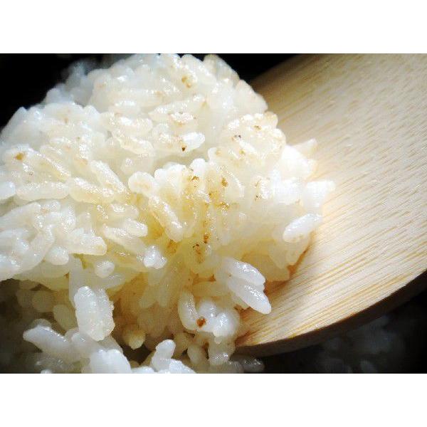 【令和4年産白米】業務用聖米【コシヒカリ100%】単一原料米　24Kg