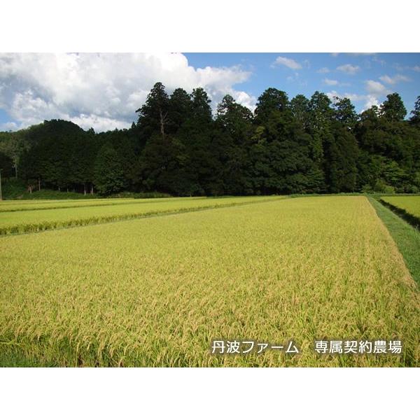 【令和4年産白米】業務用聖米【コシヒカリ100%】単一原料米　24Kg