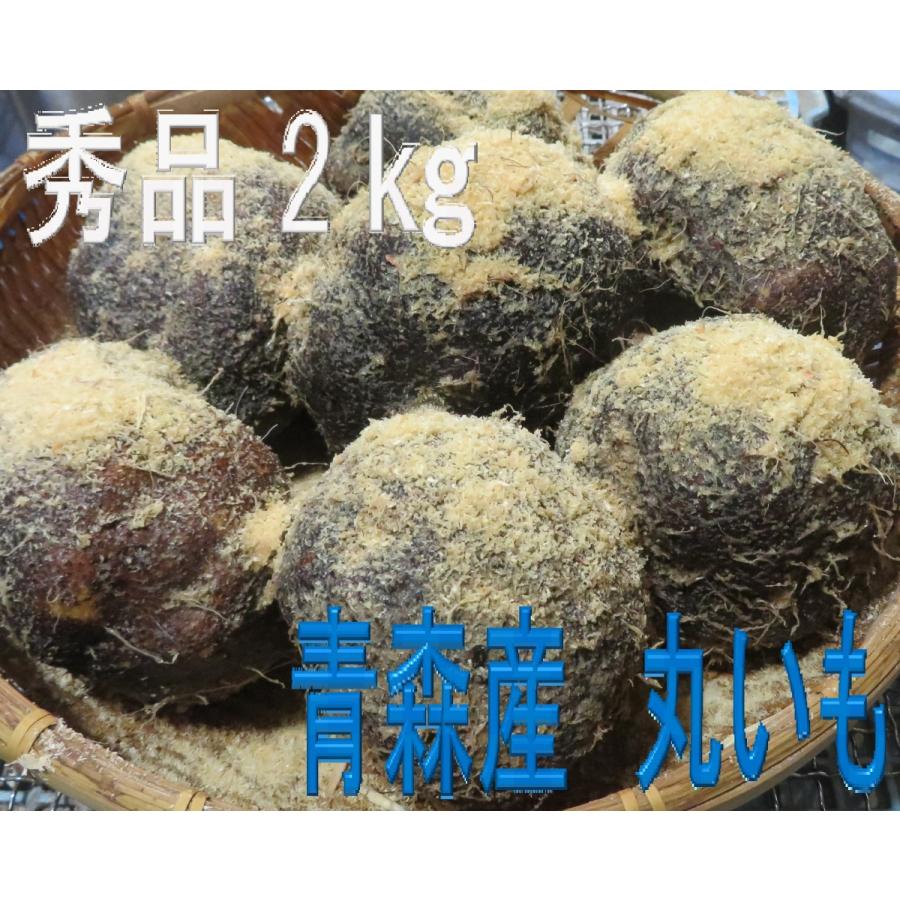 青森産 丸いも つくね芋 秀品 ２キロ 免疫力アップ おススメ 父の日 夏ギフト お中元｜tanbaimoyanakayoshi