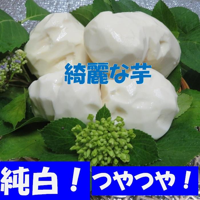 プレミアム 青森産 丸いも 2キロ（4〜6個）きれいな つくね芋 山芋