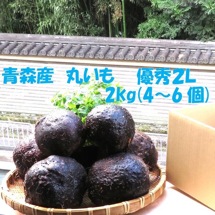 青森産 プレミアム 丸いも つくね芋 秀品 2キロ 免疫力アップ 青森産 プレミアム 丸いも つくね芋 秀品 2キロ 免疫力アップ