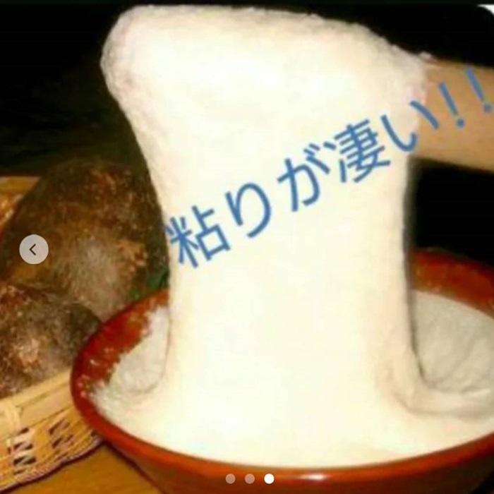 希少 数量限定 丹波山の芋 5キロ  種子候補 種芋 タネイモ 100株分 長期保存 食用OK つくね芋 山芋 とろろの画像