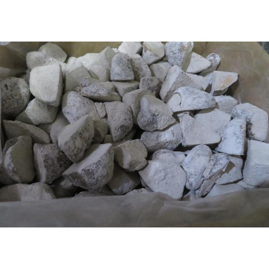 後は植えるだけ！ カット種芋 5キロ 丹波山の芋 タネイモ つくね芋