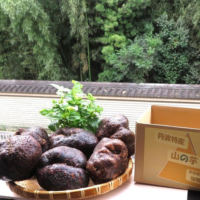 フローライト×マザオパ✧︎ランバスカービング フローライト×マザオパ✧︎ランバスカービング フローライト