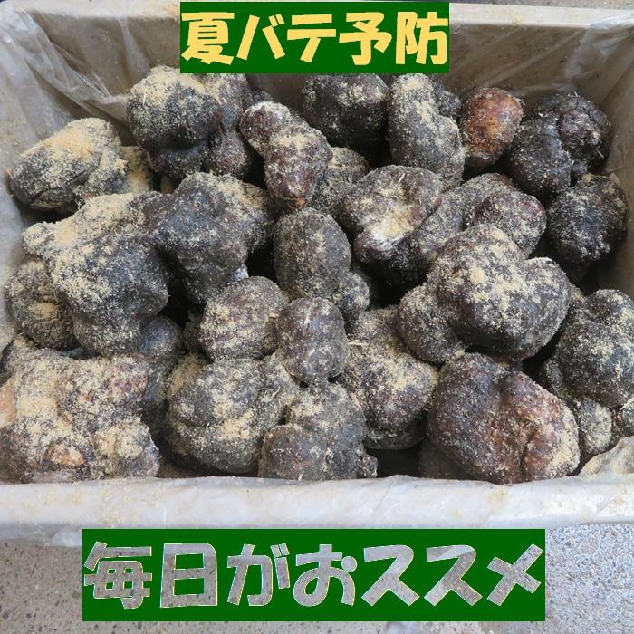 山芋　規格外品　10k 業者様専用 特価 丹波 山の芋 ワケあり 10キロ (25〜45個) 新芋 つくね