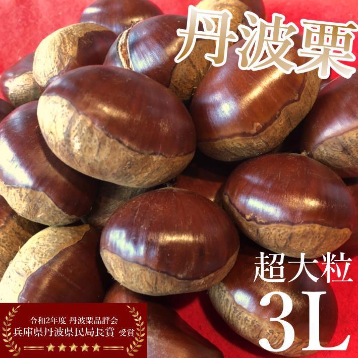 10/1(火)以降順次お届け／【送料無料】栗 丹波栗 生栗 新栗 3L 1kg 