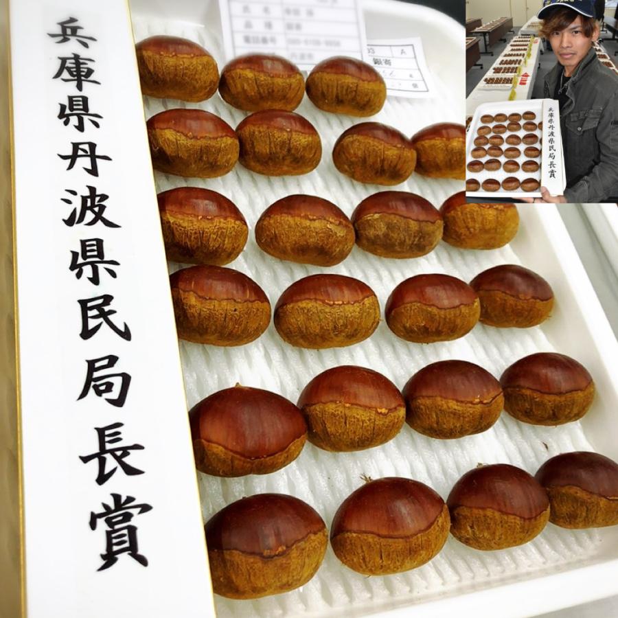 10/1(火)以降順次お届け／【送料無料】栗 丹波栗 生栗 新栗 3L 1kg 