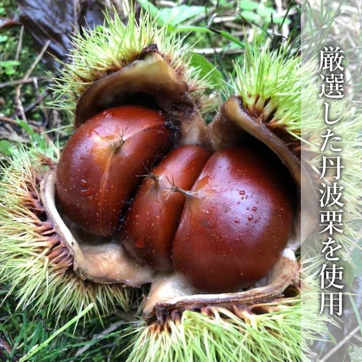 送料無料】栗 丹波栗 生栗 新栗 4L 500g 稀少 大粒 大きい栗 高級 国産 