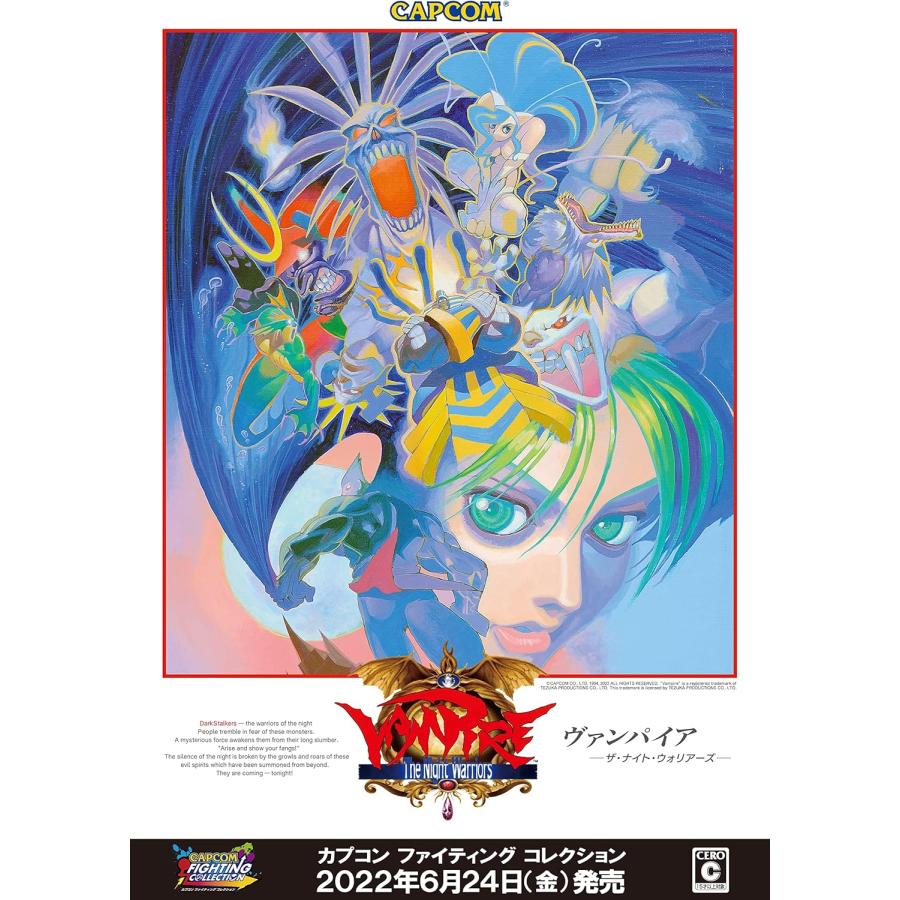 カプコン（CAPCOM） 新品 Nintendo Switch ファイティング