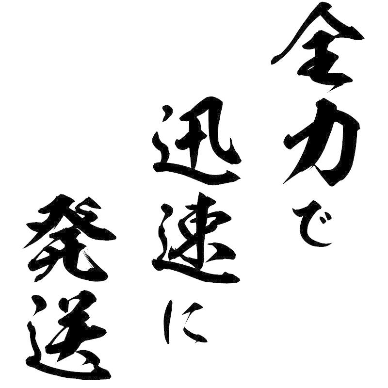 おもしろtシャツ メンズ 死ぬ気でやれよ 死なねえから Ver2 服縁 Fukuen A 0060 プリントアパレルの1012 通販 Yahoo ショッピング