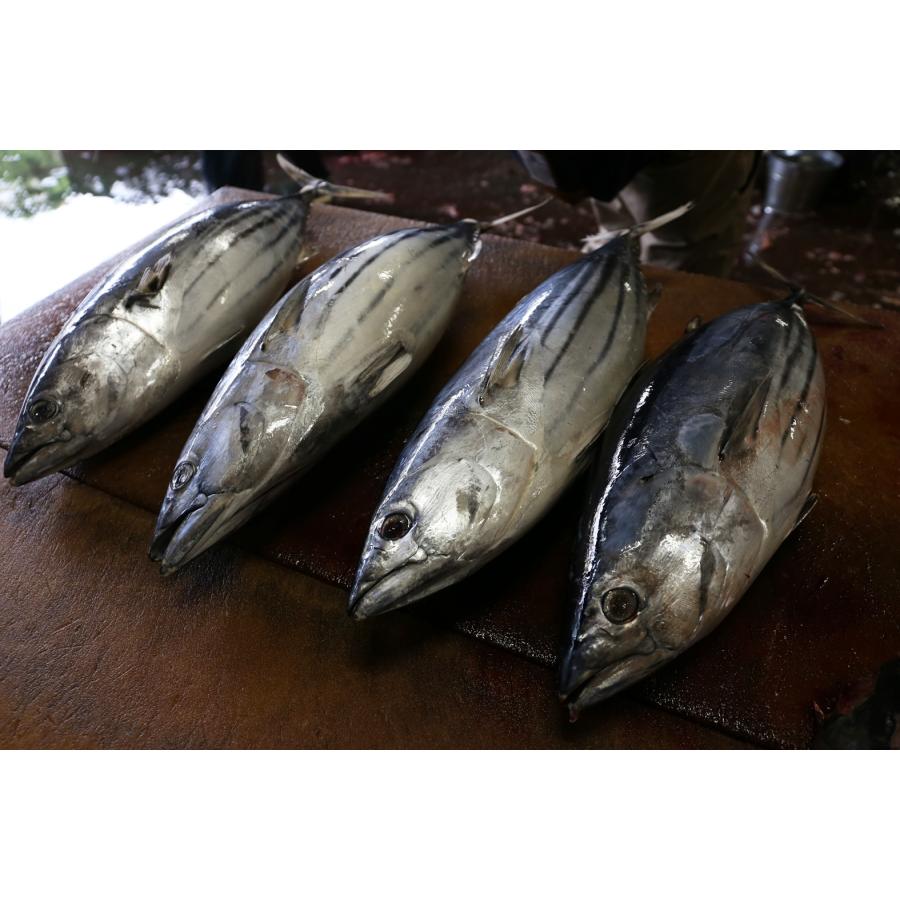 【専用】花かつお(80g)&有機 粉わさび(20g) など 専用】花かつお(80g)&有機 粉わさび(20g) など 【公式通販】