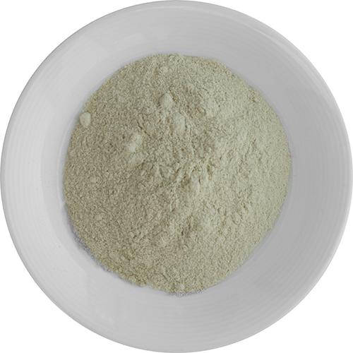 有機 粉わさび 20g 無添加 無農薬オーガニックわさび 毎回おろしたての