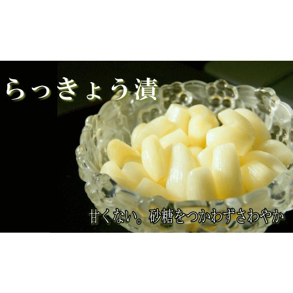 らっきょう漬け 70g 無肥料無農薬の自然栽培らっきょうを漬け込みまし