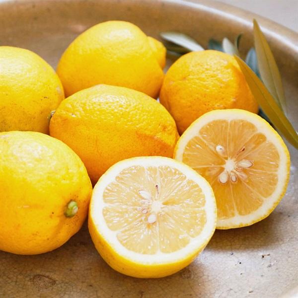 自然栽培 レモン果汁 200ml 無添加・無化学調味料 無農薬・無肥料の