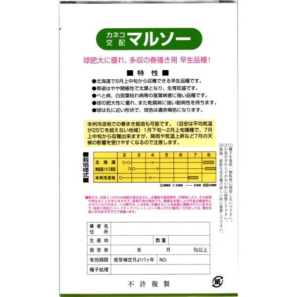 早生タマネギ 種<br> 『マルソー』  カネコ種苗/コート5000粒｜tanehyo｜02